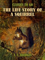 The Life Story of A Squirrel