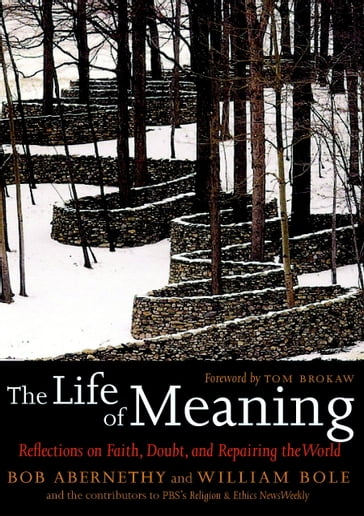 The Life of Meaning - William Bole - Tom Browkaw - Bob Abernethy