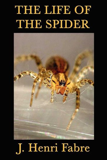The Life of the Spider - J. Henri Fabre