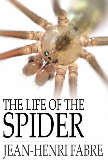 The Life of the Spider - Jean-Henri Fabre