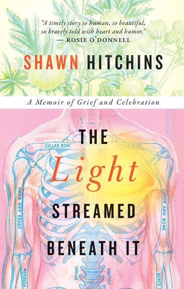 The Light Streamed Beneath It - Shawn Hitchins
