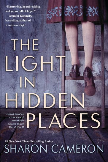 The Light in Hidden Places - Sharon Cameron