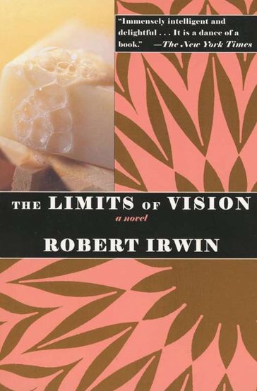 The Limits of Vision - Robert Irwin