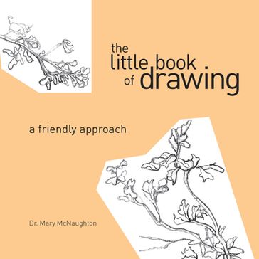 The Little Book of Drawing - Mary Mcnaughton