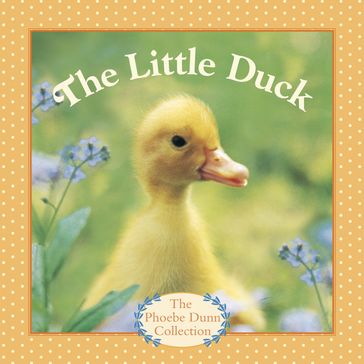 The Little Duck - Judy Dunn