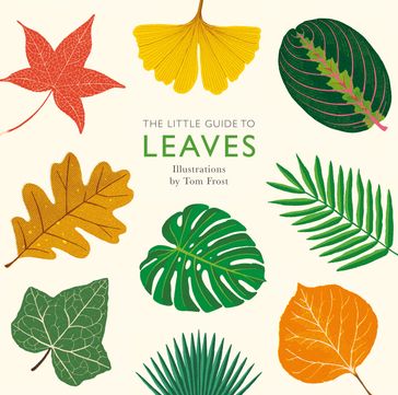 The Little Guide to Leaves - Alison Davies