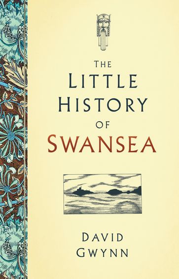The Little History of Swansea - David Gwynn
