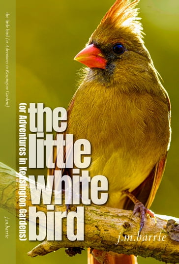 The Little White Bird - J.M. Barrie