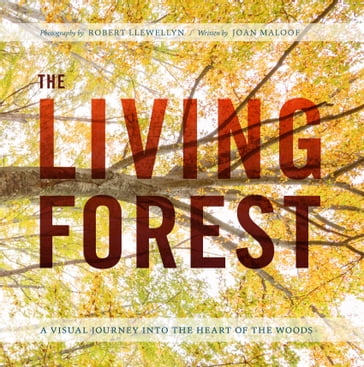 The Living Forest - Joan Maloof - Robert Llewellyn