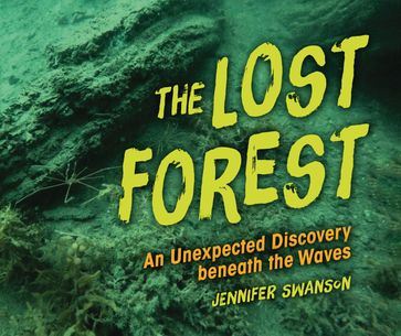 The Lost Forest - Jennifer Swanson