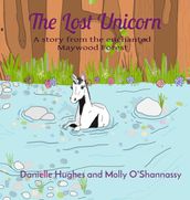 The Lost Unicorn