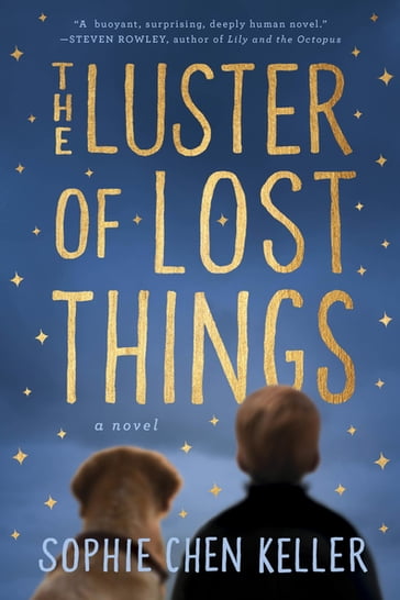 The Luster of Lost Things - Sophie Chen Keller