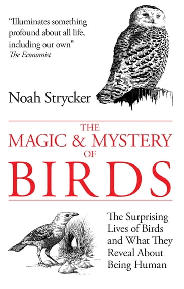 The Magic & Mystery of Birds - Noah Strycker