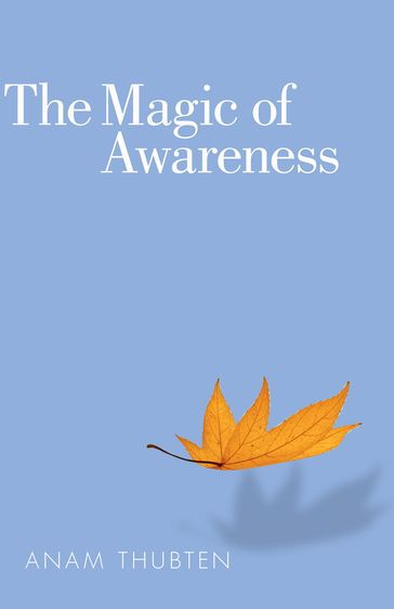 The Magic of Awareness - Anam Thubten