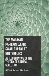 The Malayan PapilionidÃ or Swallow-tailed Butterflies, as Illustrative of the Theory of Natural Selection