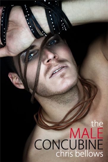 The Male Concubine - Chris Bellows