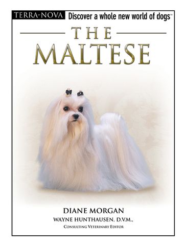 The Maltese - Diane Morgan