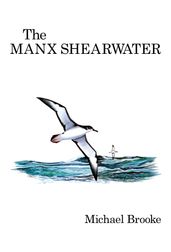 The Manx Shearwater