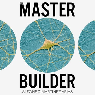 The Master Builder - Alfonso Martinez Arias