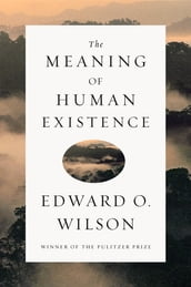 The Meaning of Human Existence