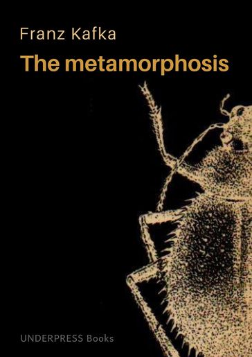 The Metamorphosis - Franz Kafka