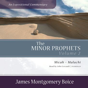 The Minor Prophets: An Expositional Commentary, Volume 2 - James Montgomery Boice