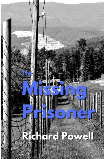 The Missing Prisoner - Richard Powell