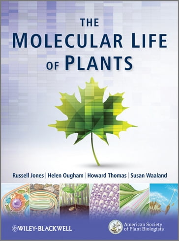 The Molecular Life of Plants - Helen Ougham - Thomas Howard - Susan Waaland - Russell L. Jones