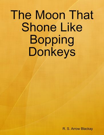 The Moon That Shone Like Bopping Donkeys - R. S. Arrow Blackay