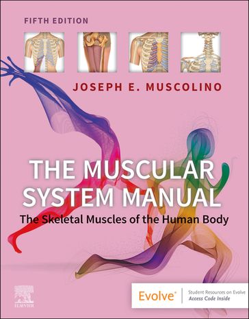 The Muscular System Manual - E-Book - DC Joseph E. Muscolino