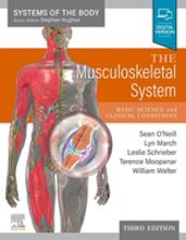 The Musculoskeletal System - E-Book