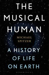 The Musical Human