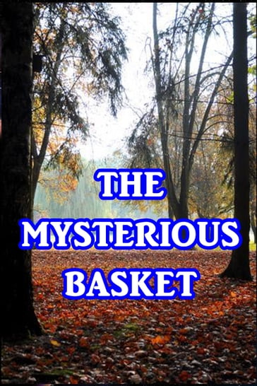 The Mysterious Basket - Anonymous
