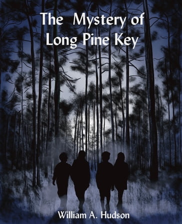 The Mystery of Long Pine Key - William Hudson