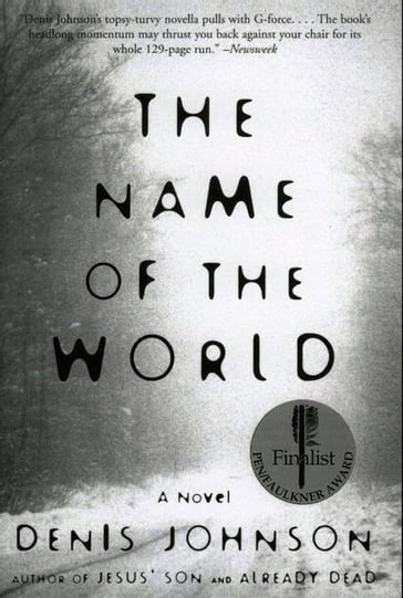 The Name of the World - Denis Johnson