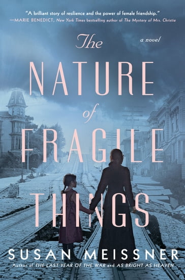 The Nature of Fragile Things - Susan Meissner