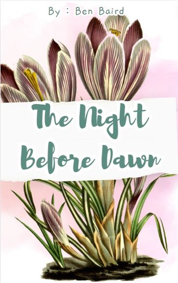 The Night Before Dawn - Ben Baird