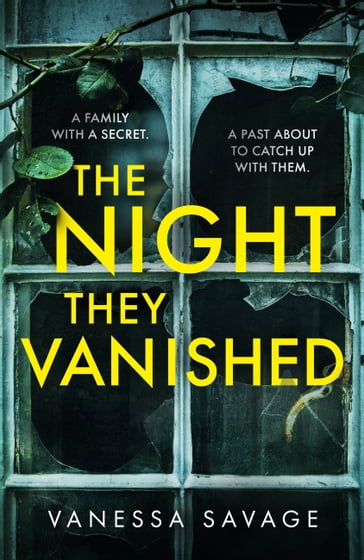 The Night They Vanished - Vanessa Savage