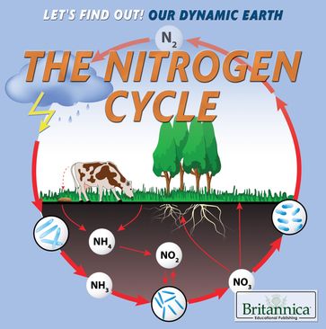 The Nitrogen Cycle - Britannica Educational Publishing