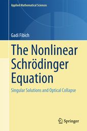 The Nonlinear Schrödinger Equation