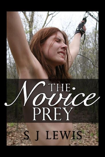 The Novice Prey - SJ Lewis