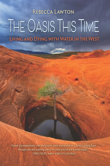 The Oasis This Time - Rebecca Lawton