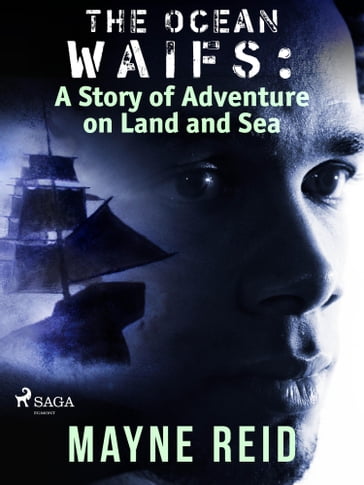 The Ocean Waifs: A Story of Adventure on Land and Sea - Mayne Reid