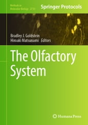 The Olfactory System