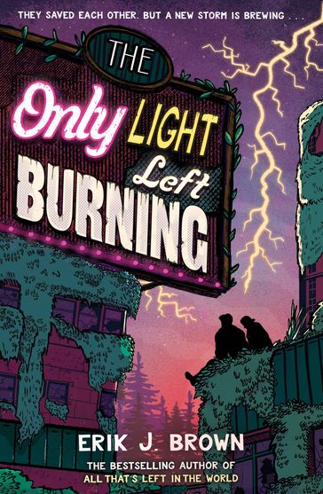 The Only Light Left Burning - Erik J. Brown