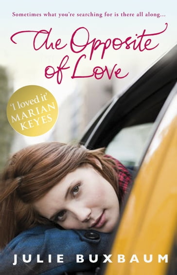 The Opposite Of Love - Julie Buxbaum