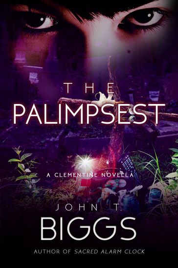 The Palimpsest - John T. Biggs
