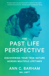 The Past Life Perspective