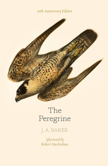 The Peregrine: 50th Anniversary Edition: Afterword by Robert Macfarlane - J. A. Baker - Robert Macfarlane