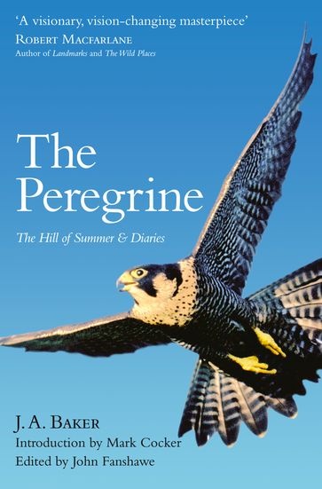 The Peregrine: The Hill of Summer & Diaries: The Complete Works of J. A. Baker - J. A. Baker